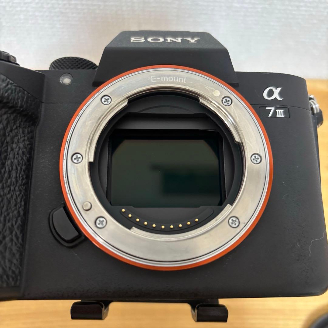 9/15限定値下】 α7iii 本体 23741回 レンズ16-70mm - メルカリ