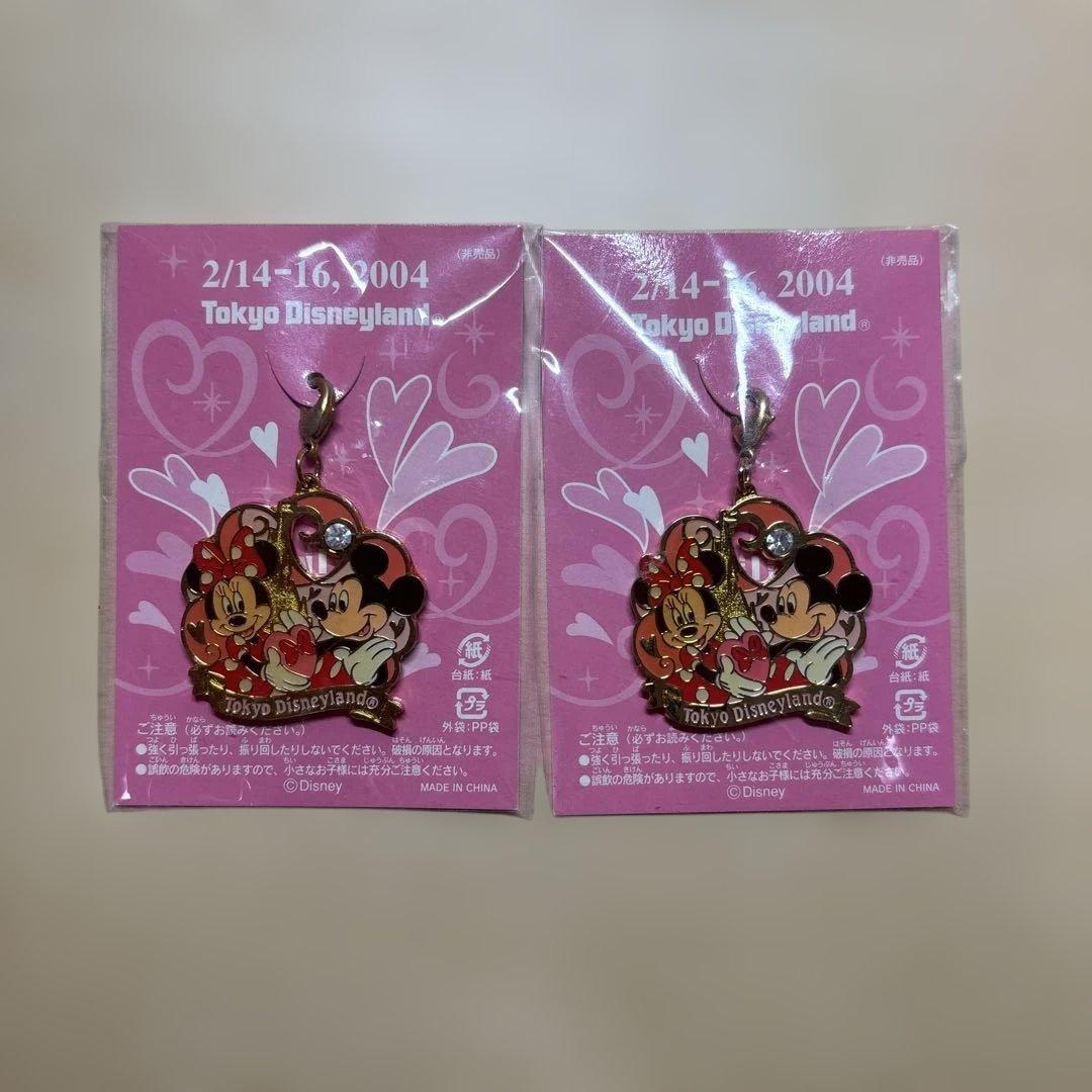 東京ディズニーランド 非売品レア 2004年限定 ミッキー ミニー