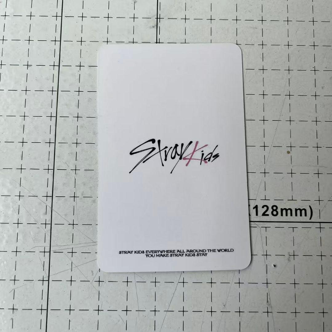 Straykids チャンビン 2025 MBC 歌謡大祭典 サノク 限定トレカ - メルカリ