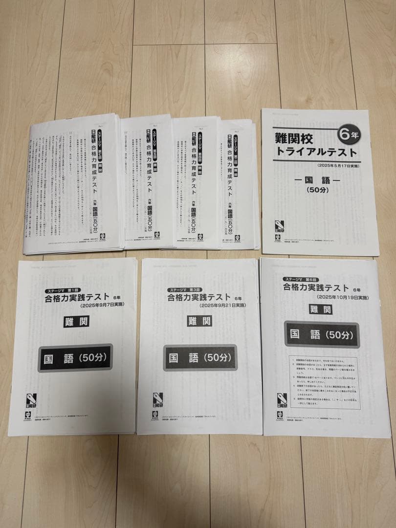 日能研6年 合格力育成 実践テスト 難関校トライアルテスト - メルカリ