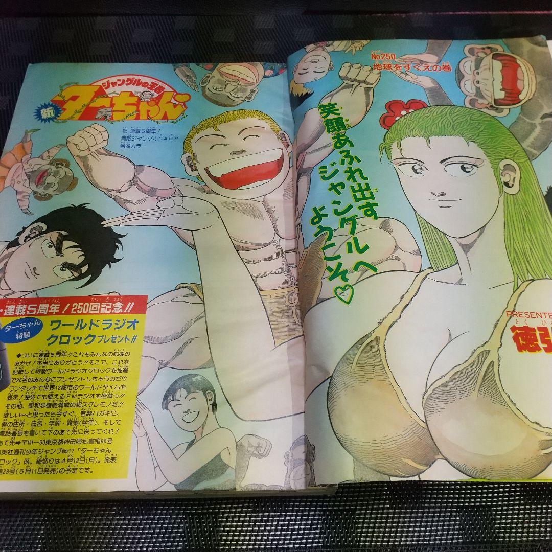 週刊少年ジャンプ 1993年17号※ドラゴンボール表紙※ターちゃん巻頭