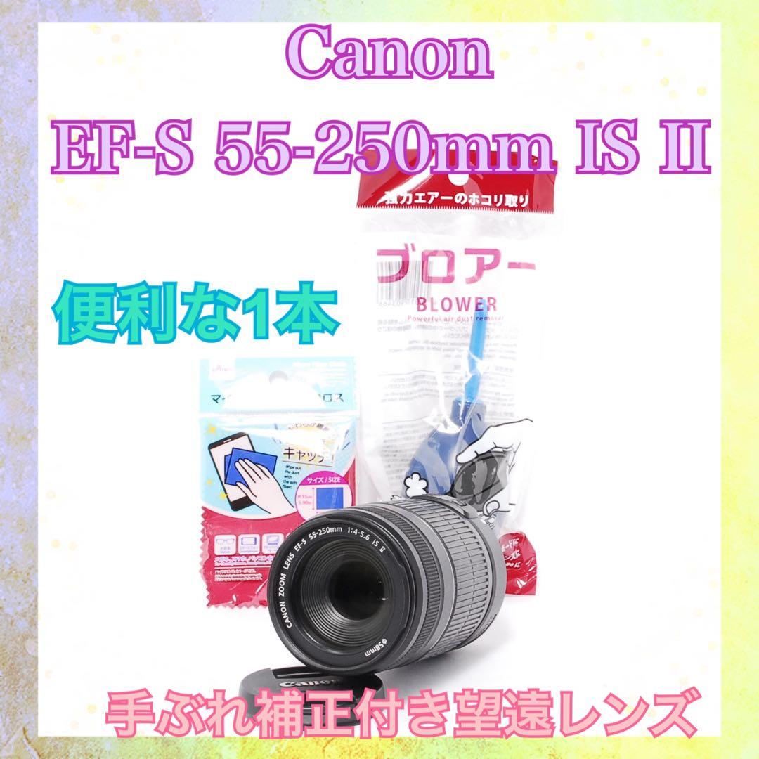 桜や野鳥撮影等にも❤️Canon EF-S 55-250mm IS❤️手ぶれ補正付き 桜や野鳥撮影に◇Canon EF-S 55-250mm IS◇手ぶれ補正付き◇ - メルカリ
