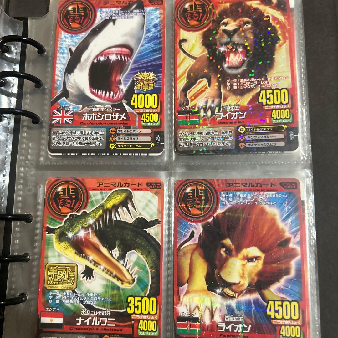 アニマルカイザー ラタトスク様確認用 - メルカリ