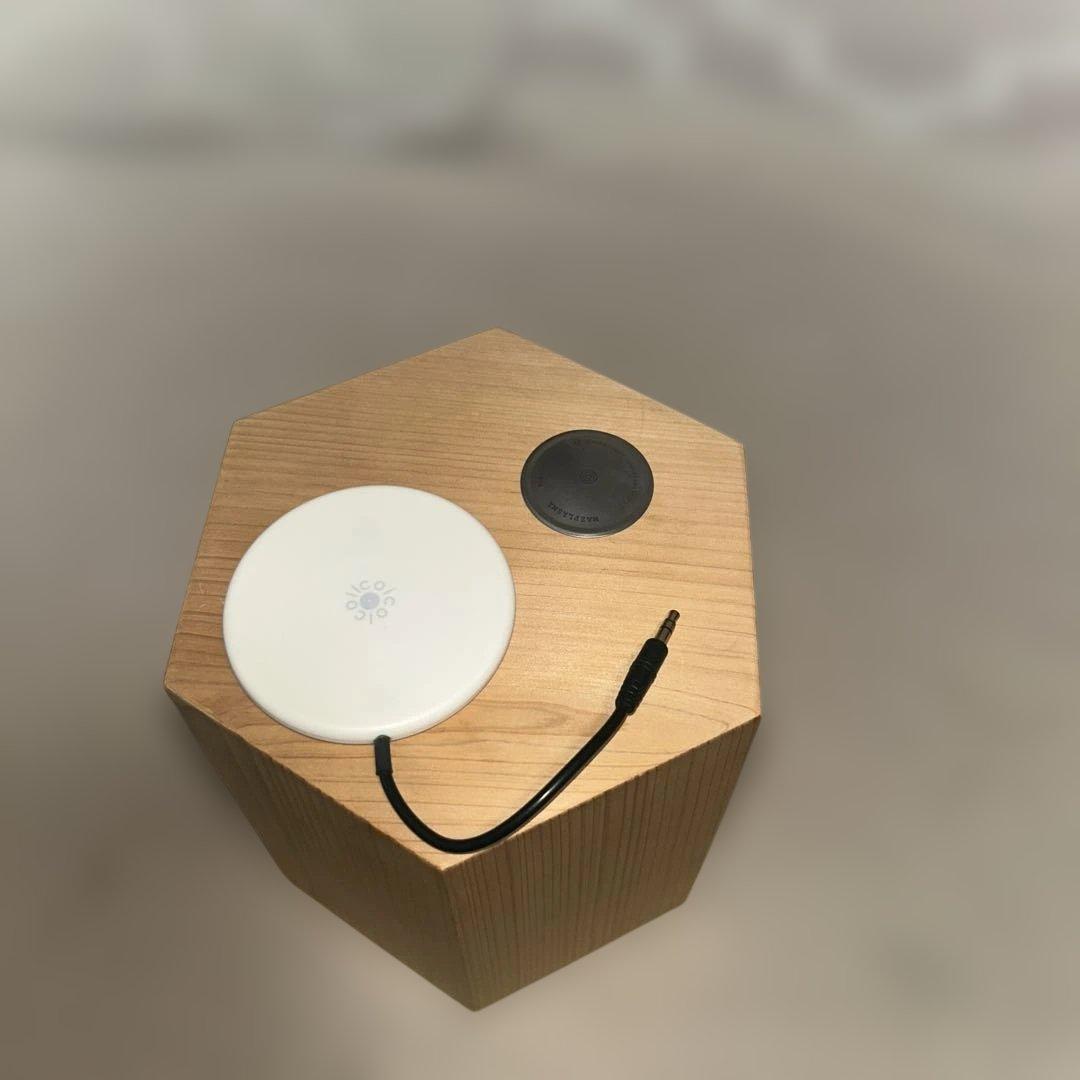 大黒柱(小) CoiCoiCoil マズプラズマ - メルカリ