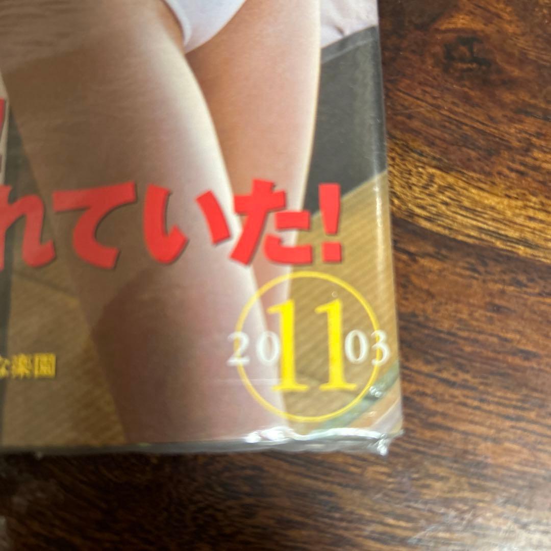2003年11月penthouse月刊誌　加藤あい温泉盗撮D V D未開封梱包
