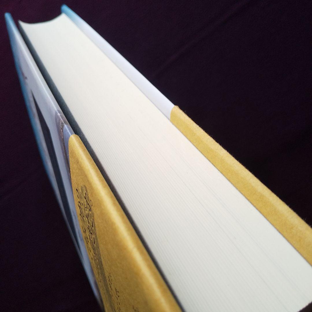 エウレギオ 原経済圏と河のヨーロッパ 渡辺尚 - メルカリ