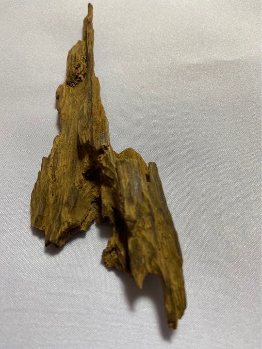 天然シャム沈香木(沈水)