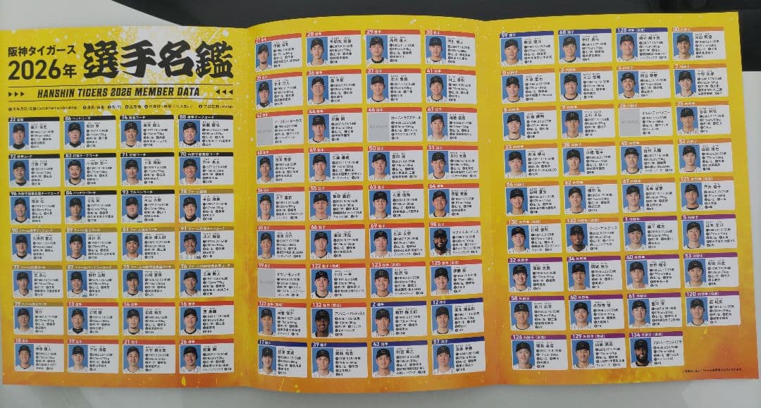 2026阪神タイガースキャンプ春季 沖縄宜野座うるま限定キャップ おまけ