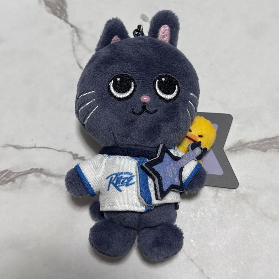 RIIZE PARK 10cm キーリング トニャンドク ウォンビン タグ付き - メルカリ