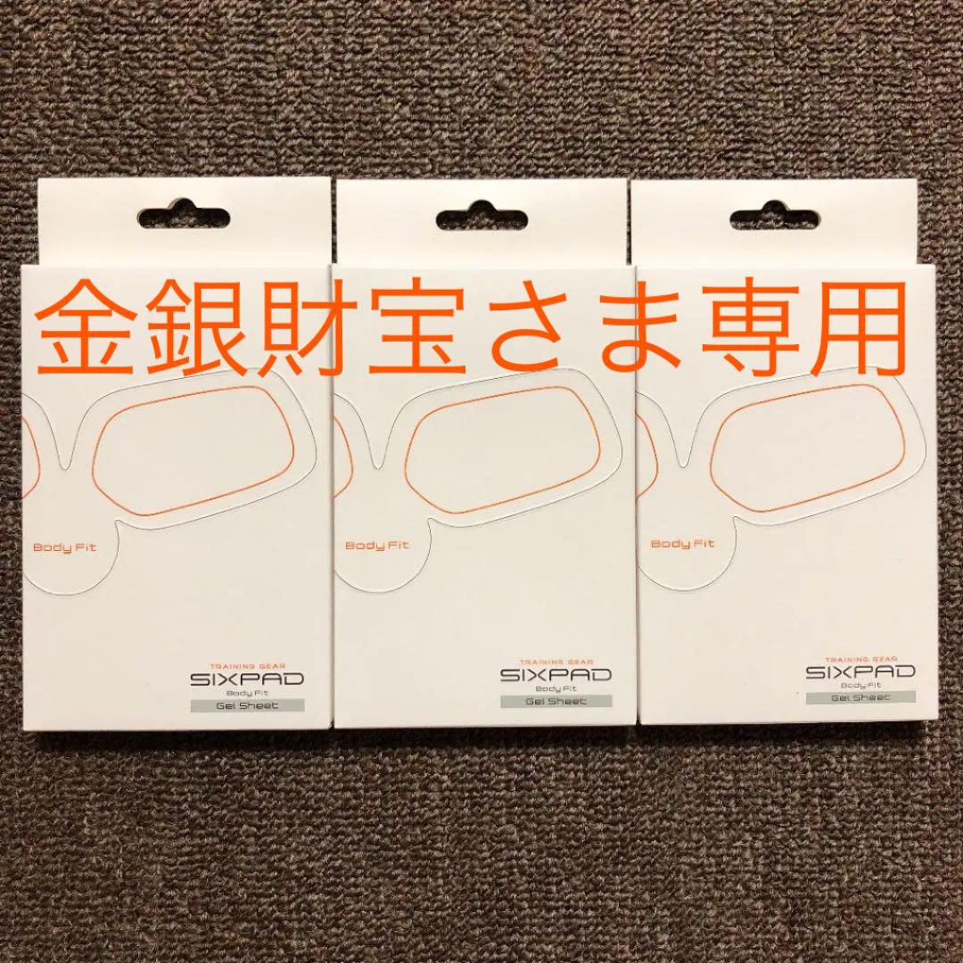 限定TSカラー新品未使用スポーツ - 【新品】シックスパッド アブズ