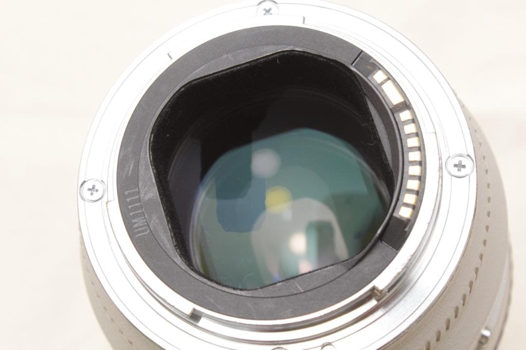 棘 (トゲ) 様専用Canon EF 70-200mm 1:2.8 L - メルカリ