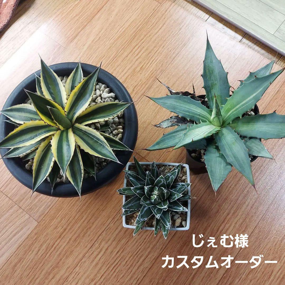 じぇむ様　カスタムオーダー　同梱割引適用済み 楽天市場】《メーカー修理対応有》【無料☆特典付】 リクシル 機能門柱