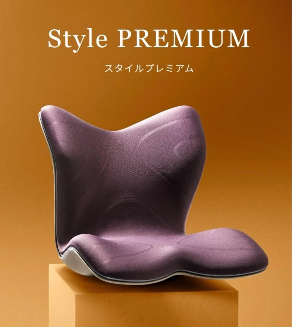Style PREMIUM（スタイルプレミアム） ブラウン MGT 骨盤矯正 Style（スタイル） 姿勢ケアシート Style PREMIUM プレミアム MTG 骨盤