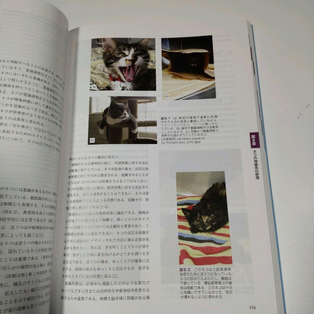 最新 ネコとイヌの身体診察