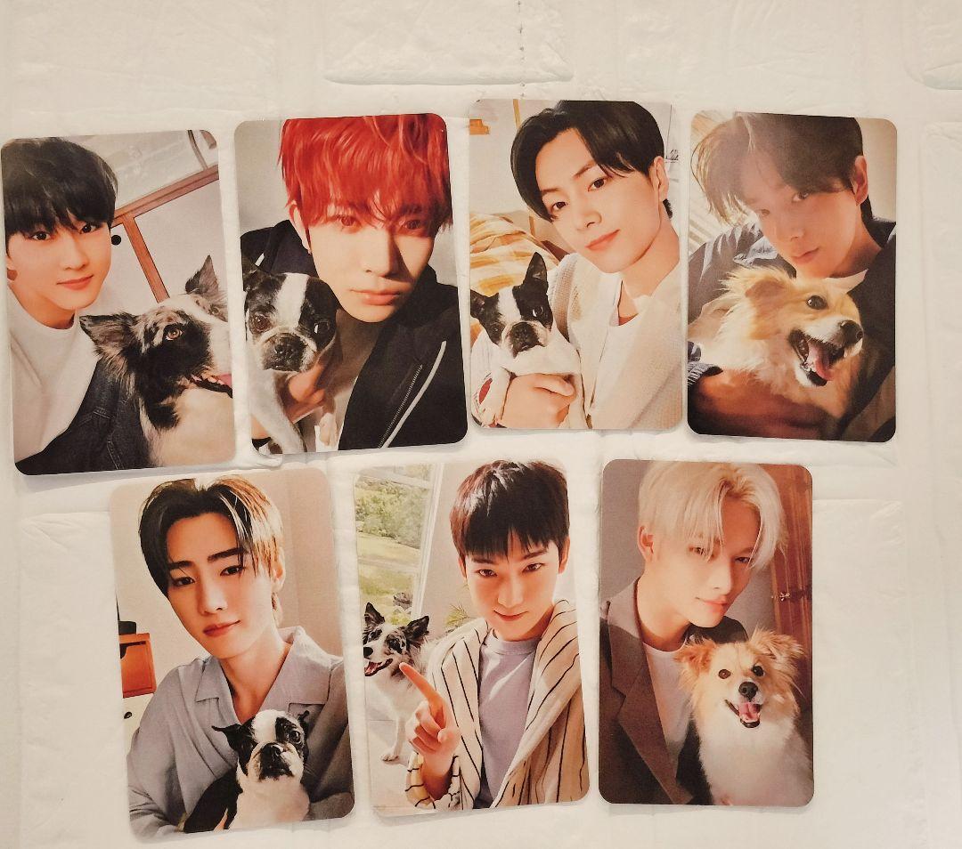 ENHYPEN アンケート トレカセット - メルカリ