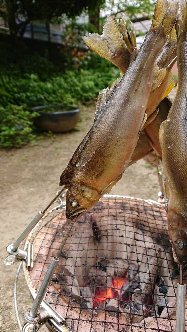 七輪・バーベキュー網の串立て6本 - メルカリ