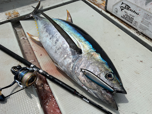 Ghibli80S｜ギブリ80S | TRANSCENDENCE