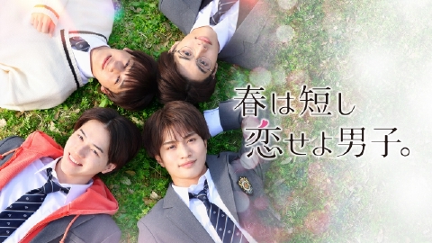 春は短し恋せよ男子。｜ドラマ｜見逃し無料配信はTVer！人気の動画見放題