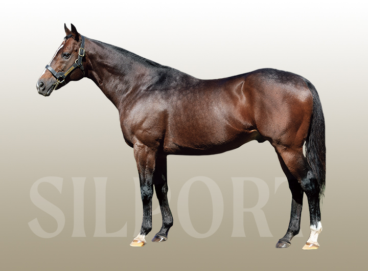 繋養種牡馬 | LEX STUD（レックススタッド）